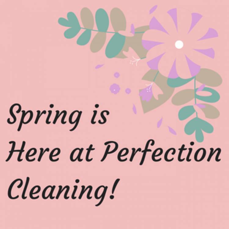 Spring (Cleaning) is Here!