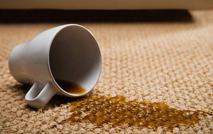 Remove these 5 common carpet stains before the holidays!