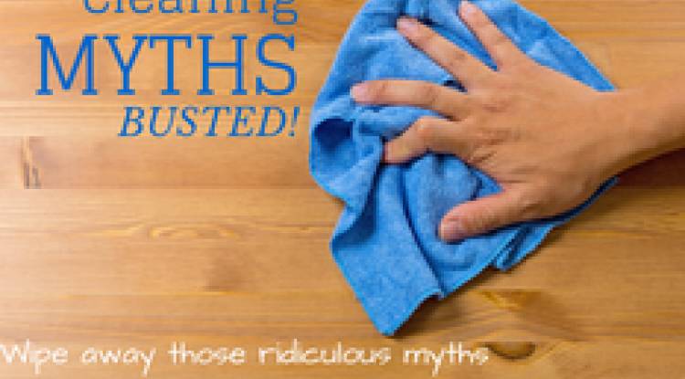 Cleaning Myths Busted!