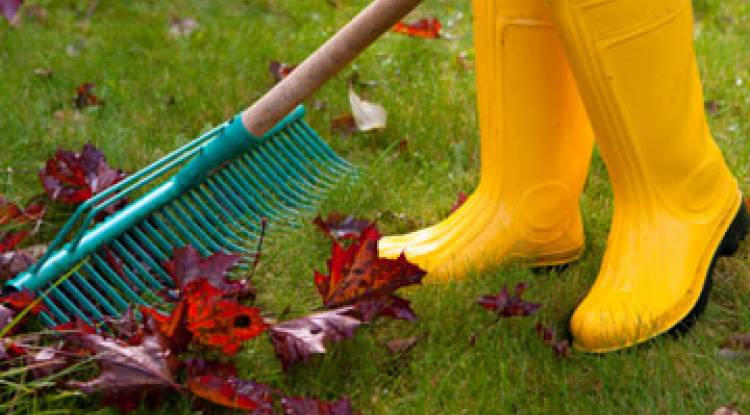 Easy Outdoor Spring Cleaning Checklist