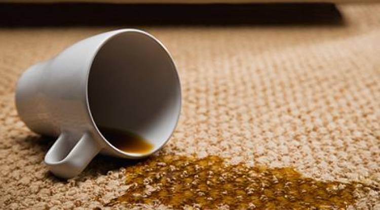 Remove these 5 common carpet stains before the holidays!