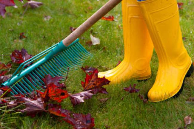 Easy Outdoor Spring Cleaning Checklist