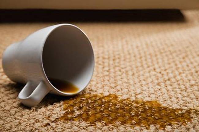 Remove these 5 common carpet stains before the holidays!